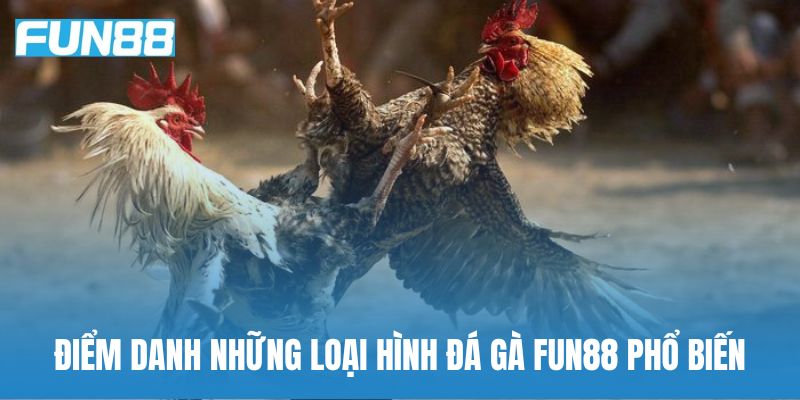 Điểm danh những loại hình đá gà Fun88 phổ biến