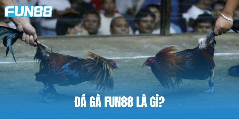 Đá gà Fun88 là gì?