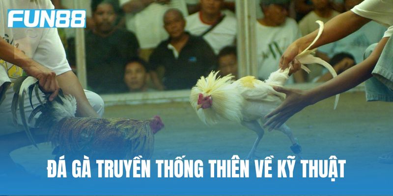 Đá gà truyền thống hợp với phong cách thi đấu chậm rãi và thiên về kỹ thuật